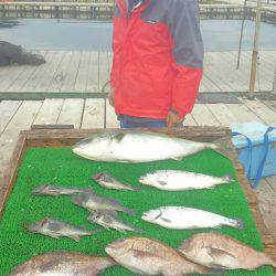 海の釣堀 海恵 釣果