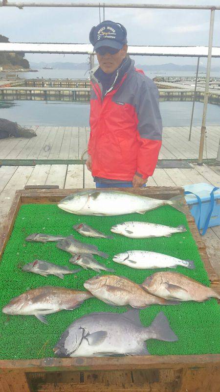 海の釣堀 海恵 釣果