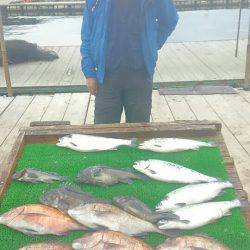 海の釣堀 海恵 釣果