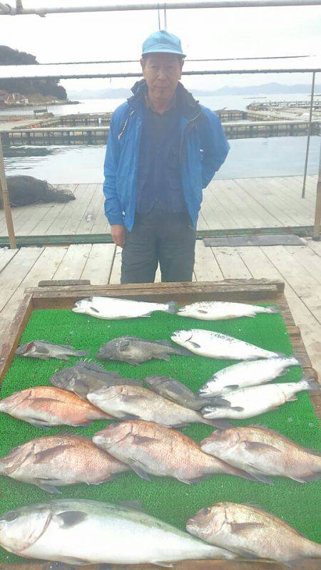 海の釣堀 海恵 釣果