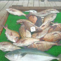 海の釣堀 海恵 釣果