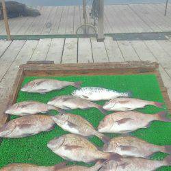 海の釣堀 海恵 釣果