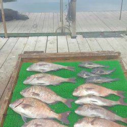 海の釣堀 海恵 釣果
