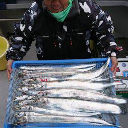 釣人家 釣果