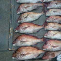 FISHING RISKY 釣果