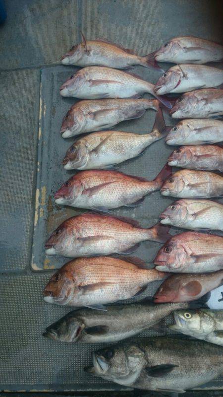 FISHING RISKY 釣果