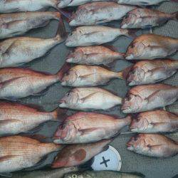 FISHING RISKY 釣果