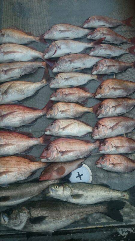 FISHING RISKY 釣果