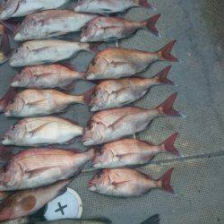 FISHING RISKY 釣果