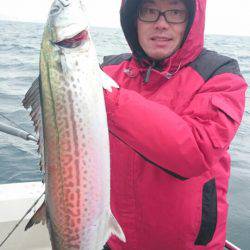 ARCADIAⅡ （アルカディアⅡ） 釣果