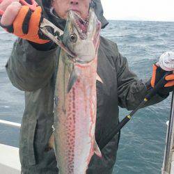 ARCADIAⅡ （アルカディアⅡ） 釣果