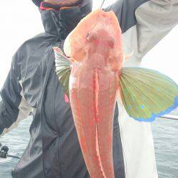 ARCADIAⅡ （アルカディアⅡ） 釣果