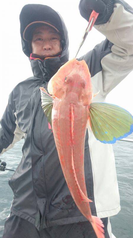 ARCADIAⅡ （アルカディアⅡ） 釣果