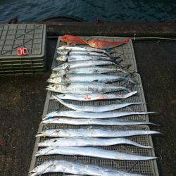 ARCADIAⅡ （アルカディアⅡ） 釣果