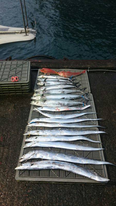 ARCADIAⅡ （アルカディアⅡ） 釣果…