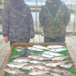 海の釣堀 海恵 釣果