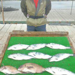 海の釣堀 海恵 釣果