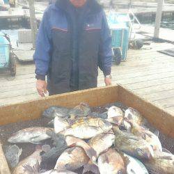 海の釣堀 海恵 釣果