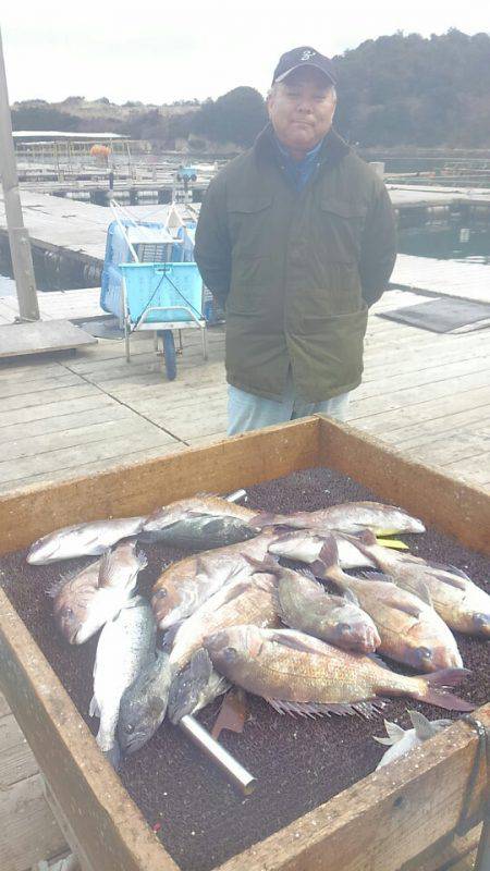 海の釣堀 海恵 釣果