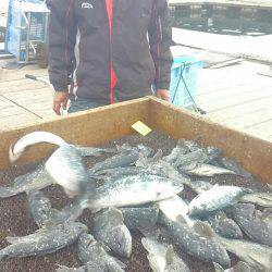 海の釣堀 海恵 釣果