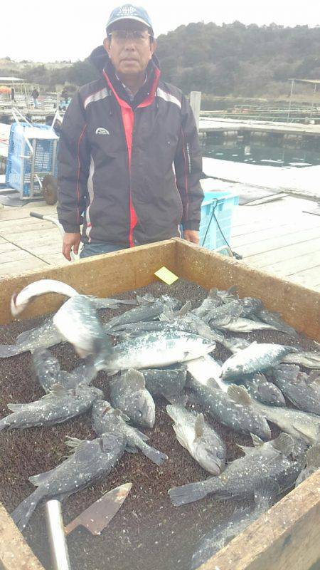 海の釣堀 海恵 釣果