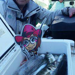 金沢八景鴨下丸 釣果