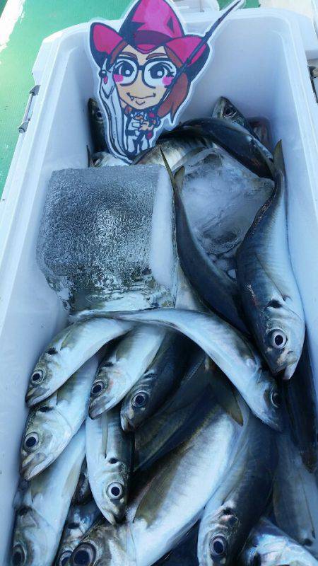 金沢八景鴨下丸 釣果