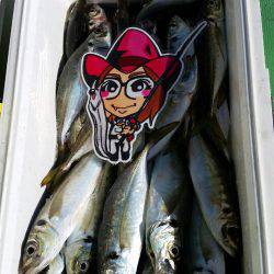 金沢八景鴨下丸 釣果