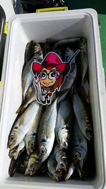 金沢八景鴨下丸 釣果