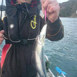 ARCADIAⅡ (アルカディアⅡ) 釣果