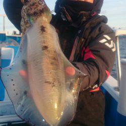 第三共栄丸 釣果