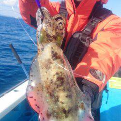 第三共栄丸 釣果