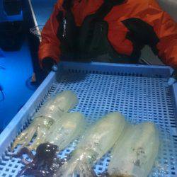 第三共栄丸 釣果