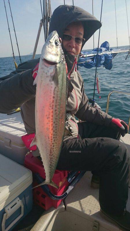 ARCADIAⅡ (アルカディアⅡ) 釣果