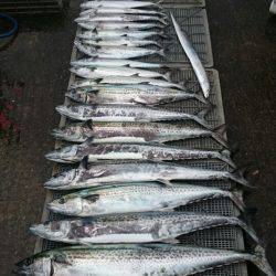 ARCADIAⅡ (アルカディアⅡ) 釣果