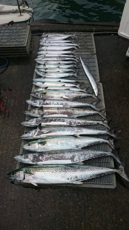 ARCADIAⅡ （アルカディアⅡ） 釣果…