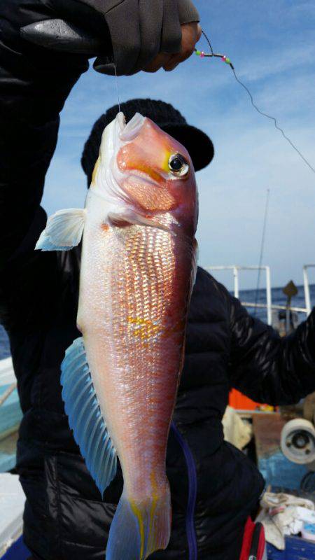 英美丸 釣果