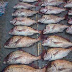 FISHING RISKY 釣果