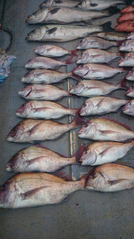 FISHING RISKY 釣果