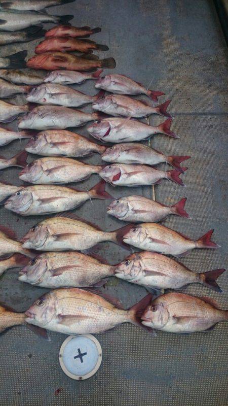 FISHING RISKY 釣果