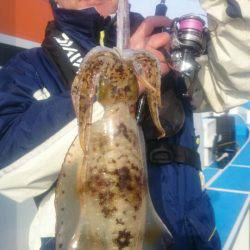 第三共栄丸 釣果