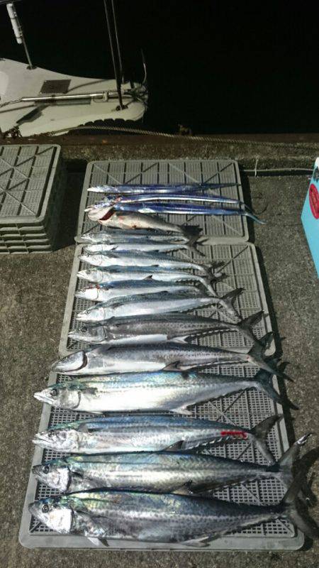 ARCADIAⅡ （アルカディアⅡ） 釣果…