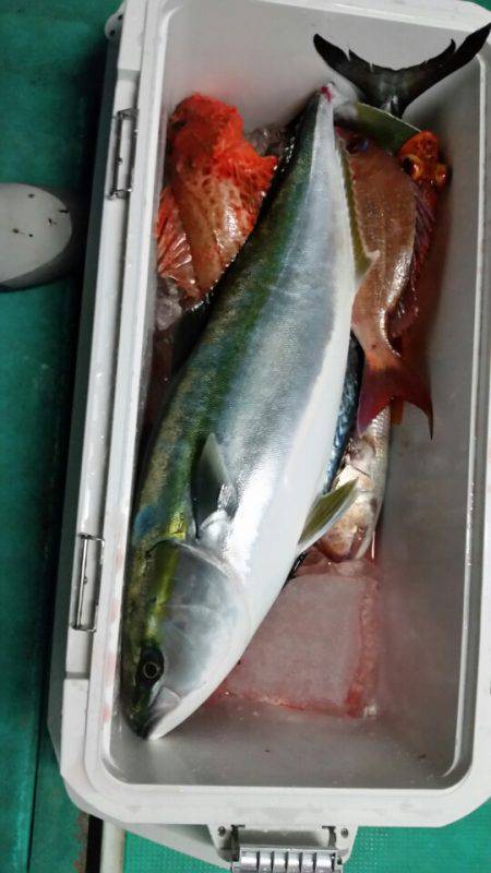 富士丸 釣果