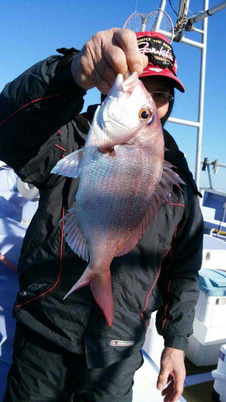 新幸丸 釣果
