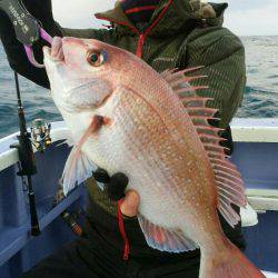 新幸丸 釣果