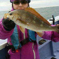 新幸丸 釣果
