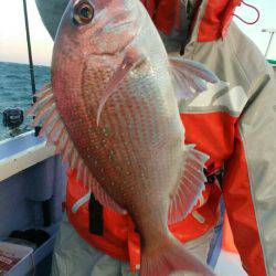 新幸丸 釣果