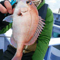 新幸丸 釣果