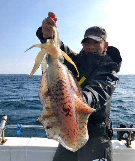 South Current 釣果