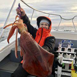 South Current 釣果